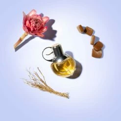 Azzaro Wanted Girl Eau De Parfum 13 Azzaro Wanted Girl Eau De Parfum -Guerlain Soldes Magasin wanted girl edp 3