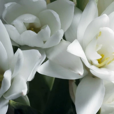 Woman Eau De Parfum 6 Woman Eau De Parfum – Image 4